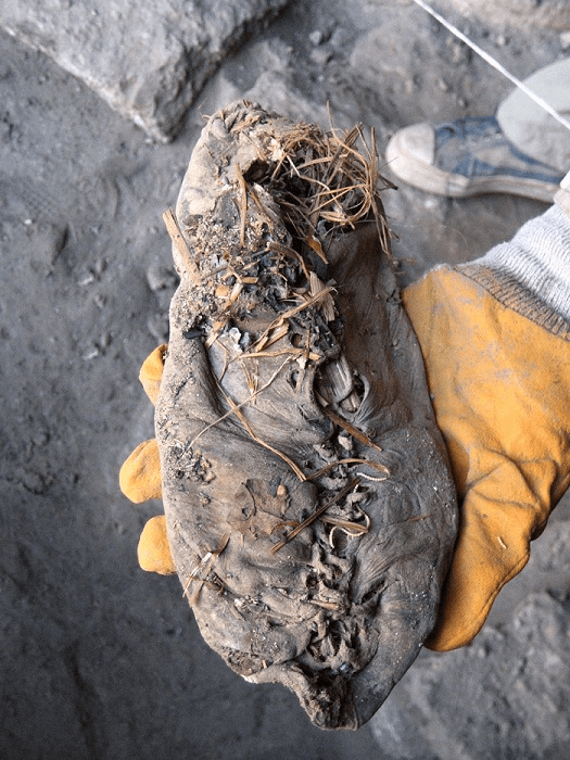 Sepatu tertua via PLOS.ORG sejarah sepatu - img 5b88658e86862 1 - Sepatu memiliki sejarah 40.000 tahun! - photo sepatu sejarah sepatu - img 5b88658e86862 1 - Sepatu memiliki sejarah 40.000 tahun!